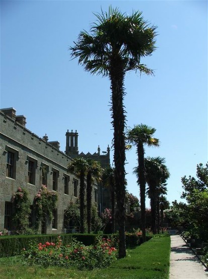 Image - A street in Alupka, Crimea.